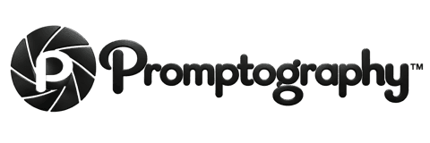 Promptography